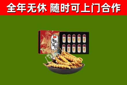 多伦回收冬虫夏草价格